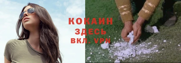 мяу мяу мука Сафоново