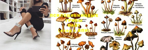 хмурый Балахна