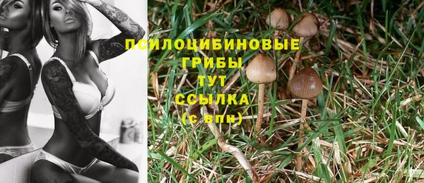 хмурый Балахна